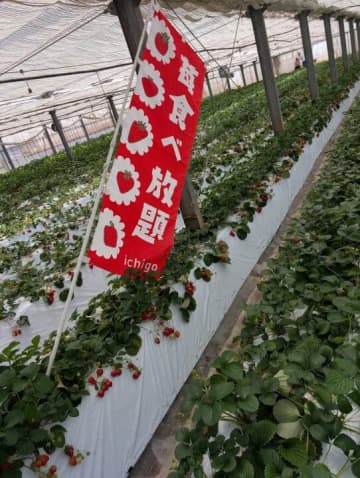 【お天気気象転結】おすすめ！秩父の旅