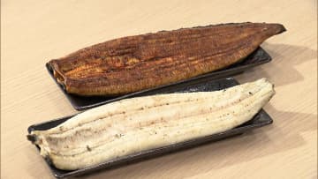 うなぎに新ブランド「でしこ」登場　エサに工夫で9割メスに…オスと違い、大きく成長しても身は柔らかく