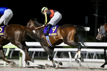【羽田盃】ルメール「相手が強かった」ジャナドリアに初黒星