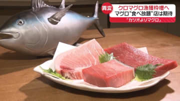 “庶民の味方”のはずが…今が旬の初ガツオが高騰　一方のクロマグロは漁獲枠増へ「値下がり」期待