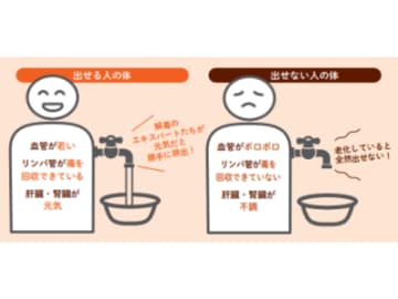 身体の不調、“毒出し不足”かも？体のデトックス機能で差が出る4つのポイント【眠れなくなるほど面白い 図解 デトックスの話】