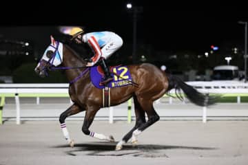 【羽田盃】祝日開催で売得金は前年比157.2%と盛況…ナチュラルライズが圧勝