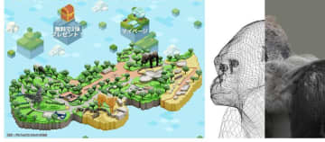 千葉市動物公園が動物の3Dデータ販売へ　人気のゴリラやハシビロコウら　新たな収益源、ファン開拓