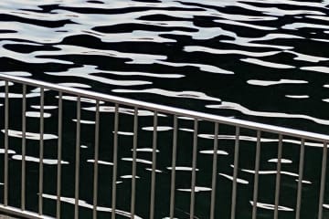まるで版画や水墨画のよう　どう見ても「絵にしか見えない」写真に11万いいね
