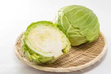 22歳・年収200万円「キャベツ高すぎ！」 ひと玉400円で購入断念…代わりに買った食材は？