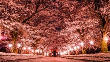 ゴールデンウィークに行きたい「全国・道の駅」ランキング！2位は群馬県前橋市「まえばし赤城」、1位茨城県の大人気「道の駅」