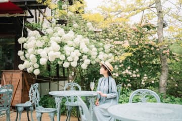 神戸・ROKKO森の音ミュージアム「SIKIガーデン」色とりどりの花々が咲き誇る初夏イベント