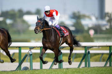 歴代最多8勝！天皇賞・春はショウナンラプンタとのコンビ…武豊騎手騎乗馬