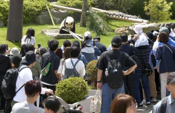 お別れ前、パンダに行列　和歌山・白浜