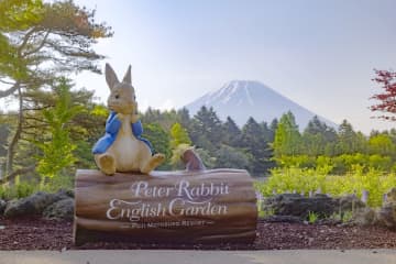 「2025富士芝桜まつり」は芝桜だけじゃない！「ピーターラビット イングリッシュガーデン」やご当地グルメ、河口湖遊覧もレポート！