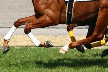 逃げ馬に活路はあるか…道中20馬身差の逃亡劇かなった名手の腕に唖然、蘇る21年前の記憶「ロマンある」