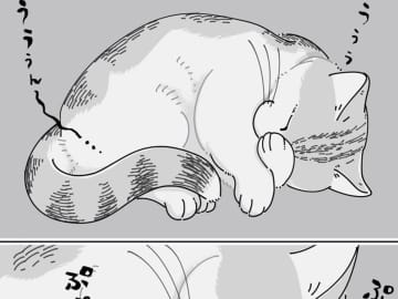 寝息が聞こえるのに、姿が見えない…　愛猫を探した結果に「めっちゃ分かる」