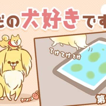 ただの犬好きです。【第310話】「義務」