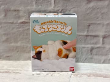 このソフビ可愛すぎる～！クセになりそうな触り心地「もっちりころりん♪ ねこ」がたまらない！