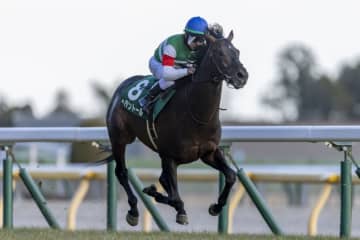 【天皇賞・春】レーン騎乗 ヘデントールは4枠6番