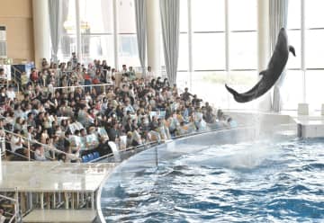 GW後半初日　イルカの技に家族連れら歓声　茨城県大洗水族館にぎわう　4、5日に来館ピーク予測　閉館時間延長も