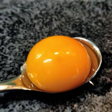 旨味が違う！若鶏のSSサイズの卵！まぐろの漬け丼ととろろ丼！