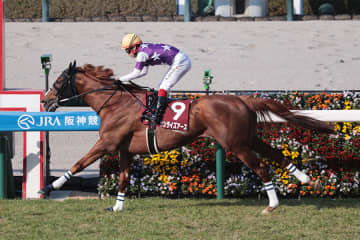 【天皇賞・春】前哨戦快勝のサンライズアース 歴代のステイヤーの仲間入りへ 粘り強さを淀のターフで見せれるか