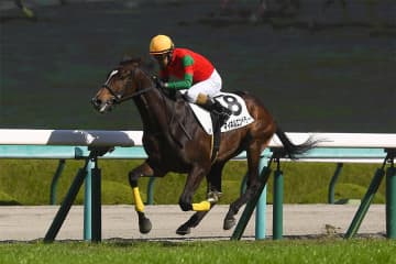 【天皇賞・春】オークス馬の全弟・マイネルエンペラー虎視眈々 丹内祐次騎手と共にGI初勝利狙う