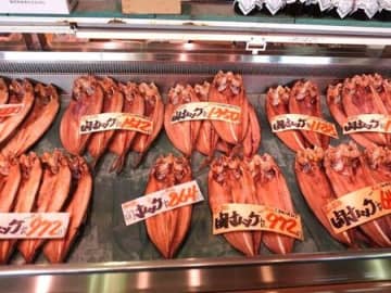 天然魚クエスト④市場で天然魚について調べてきました！
