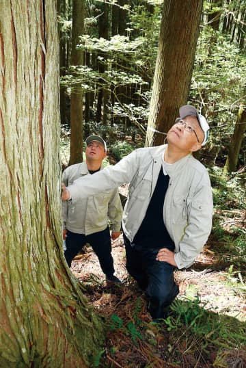 伝統的な択伐守る　「素晴らしい木を残してくれた先人に感謝」　埼玉・飯能の山一木材代表、黒田豊昭さん／全国植樹祭　森の守りびと（1）