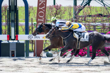 【京都2R】武豊スコーピオンイメルが人気に応える
