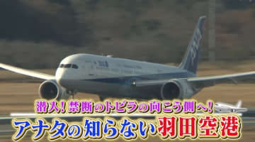 「CAのお呼び出しを」──羽田空港に潜入！　知られざる勤務“スタンバイ”とは　「離陸できない」…手荷物を探せ『every.特集』