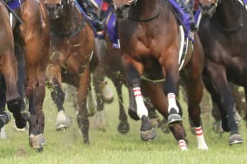 新谷功一調教師 JRA通算100勝達成