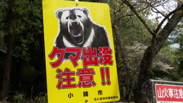 クマに襲われ32歳男性軽傷…手首や足など引っかかれる　シカ駆除の下見のため山林へ　長野・小諸市