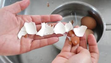 氷も画びょうも要らない！茹で卵の殻をスルッとツルっと剥く裏ワザ