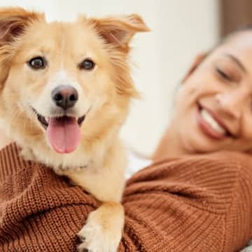 犬の寛容さに甘えてしまっているかも？『ボディランゲージ』を学んで、愛犬と信頼関係を築こう