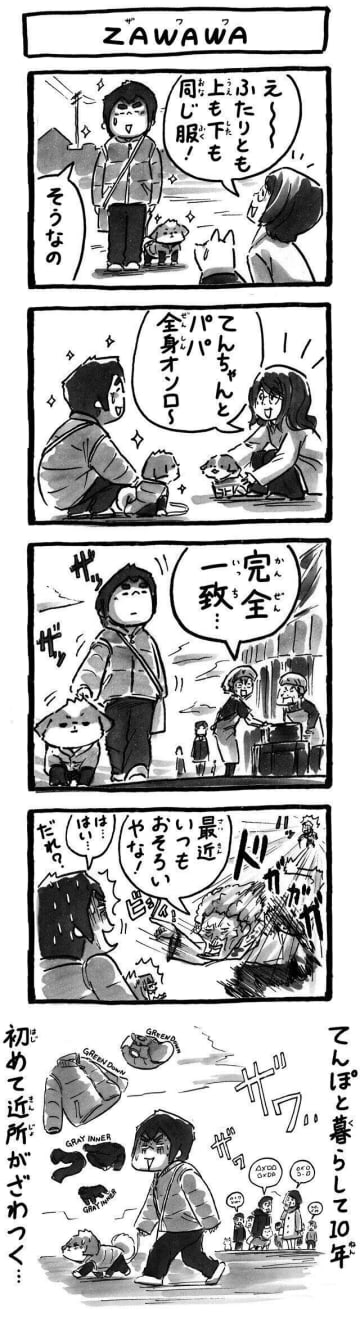 犬と飼い主のペアルックが引き起こした近所のざわつき|連載「シーズー犬のてんぽ」第274回