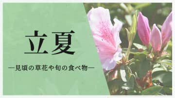 今日は二十四節気の「立夏」　この時期が見頃の草花や旬の食べ物は？