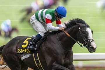 【エプソムC登録馬】シュトラウスなど26頭