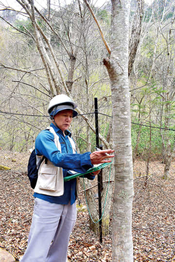 県有林を全面伐採、見る影ない山容に　「人の手でなければ再生できない」　埼玉・秩父の秩父百年の森理事長、坂本裕三さん／全国植樹祭　森の守りびと（2）