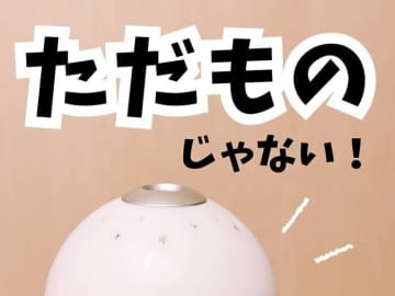 ただものじゃない！【キャンドゥ・ダイソー】「即買い！」「便利なキッチングッズ」おすすめアイテム4選
