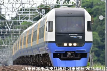 恐れていた！255系房総特急の復活宣言！　JR東日本千葉支社臨時列車運転(2025年5月)