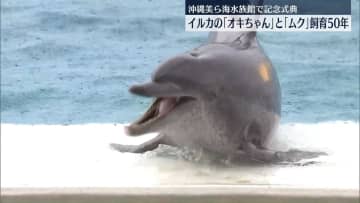 沖縄美ら海水族館　イルカの飼育開始50年で記念式典