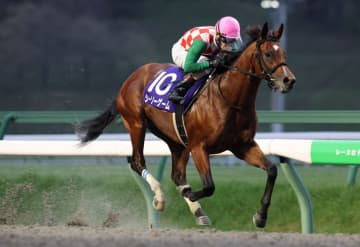 【盛岡・ダイヤモンドカップ】シーソーゲームが4馬身差完勝…矢野貴「思った通りの競馬」