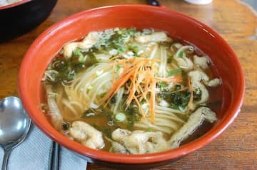 【韓流】韓国と日本の「うどん」はどう違う？Netflix『隣の国のグルメイト』11話で歌手ソン・シギョンが魅了された味、松重豊が愛する博多うどん
