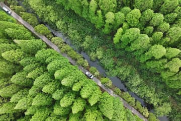 国家湿地公園903カ所設立で湿地240万ヘクタールを保護―中国