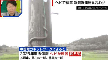 “ヘビ” が原因で新幹線が運転見合わせ…なぜ架線に絡む？「電線に巣を作った鳥の卵を狙う」