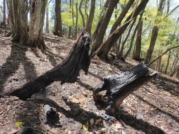 「山火事があった現場へ」 原因は登山者のタバコ！？　住宅地にほど近い里山で“あわや”の災害…問われるマナーとは
