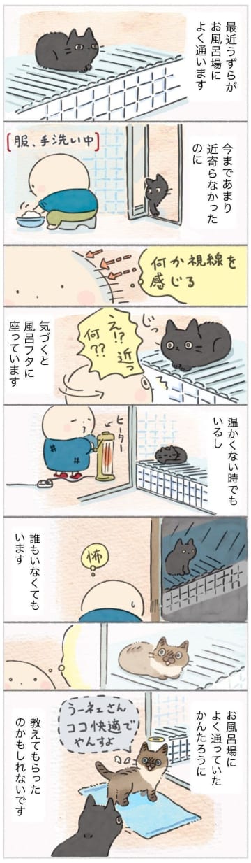 亡き同居猫の教え？愛猫がお風呂場で過ごす理由とは【連載】ねこ連れ草 332話め