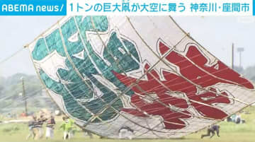畳100枚分、重さ1トンの巨大凧が大空に舞う 神奈川・座間市