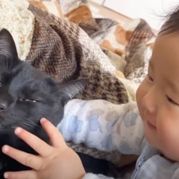 力加減が分からない赤ちゃんのなでなでに、兄猫が…思わず頰が緩む『優しすぎる対応』が４万再生「優しいお兄ちゃん」「癒しがたっぷり」