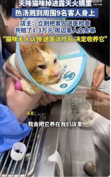 野良猫がビルの３階から路上の火鍋に落下　猫と９人がヤケド　中国・重慶市