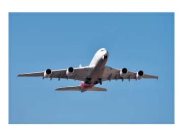 “地震、雷、火事、親父”より飛行機が怖いのは「ネコ」!?【眠れなくなるほど面白い 図解 飛行機の話】
