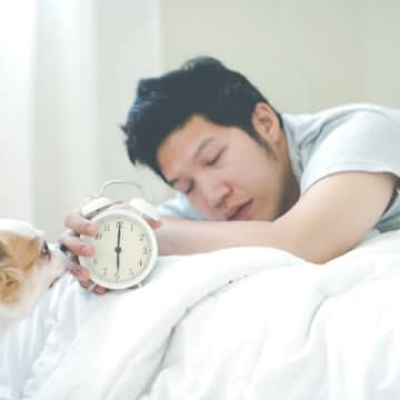 犬が『朝早く起きる』6つの理由　生活リズムや睡眠環境の整え方まで解説