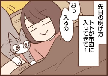 【吉川さん家の猫事情】#92話 明け方の大惨事